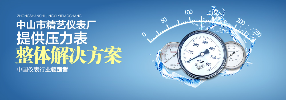 管道儀表、變送器壓力阻尼器說明書