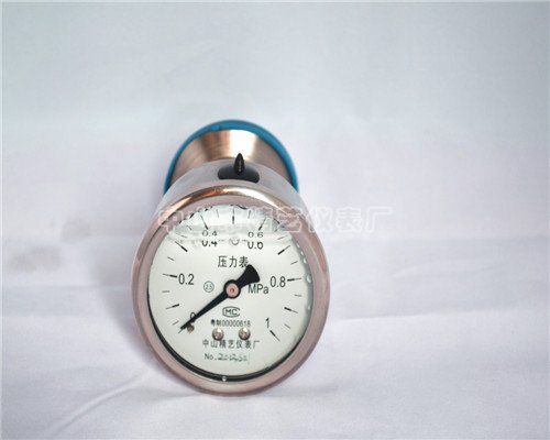 衛(wèi)生型不銹鋼壓力表