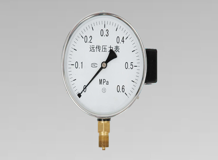 遠傳壓力表