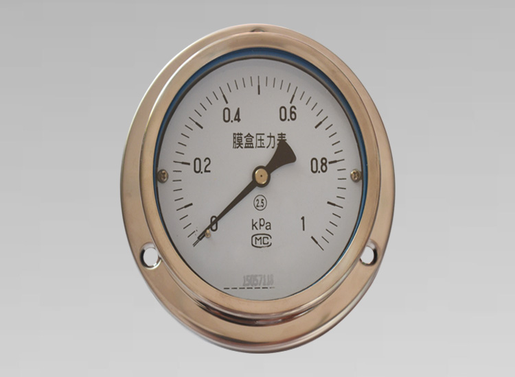 不銹鋼膜盒壓力表YE-100ZT 0~1KPa