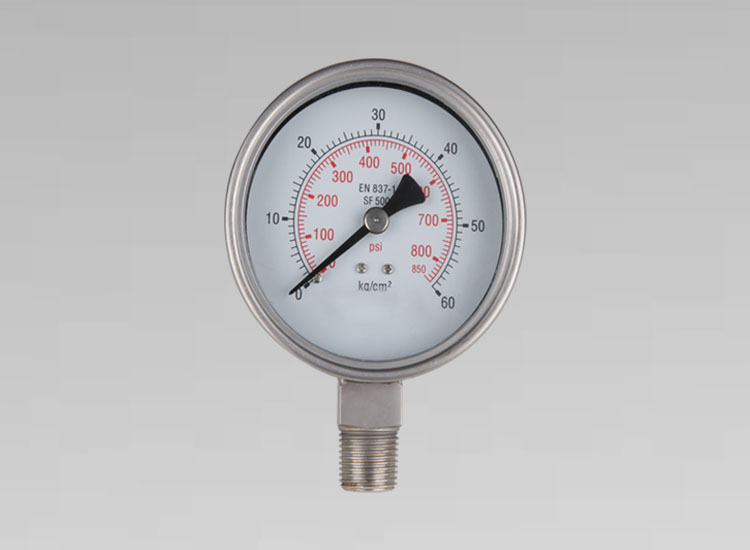全不銹鋼壓力表YNBF100 0~60Kg