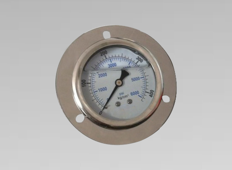 不銹鋼耐震油表YBN60 400KG