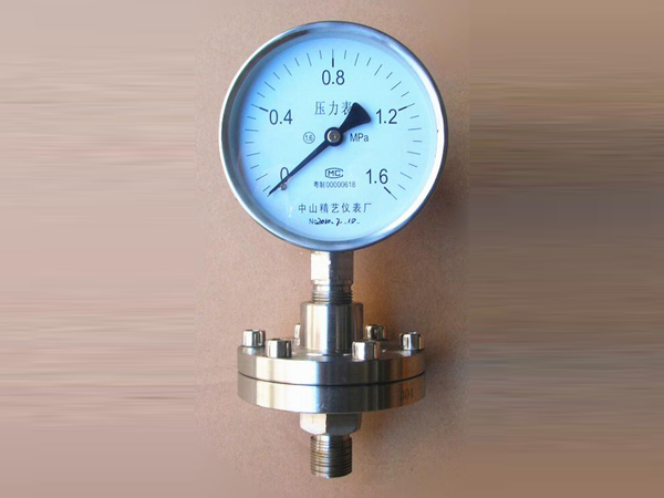 YTP100不銹鋼螺紋連接隔膜壓力表